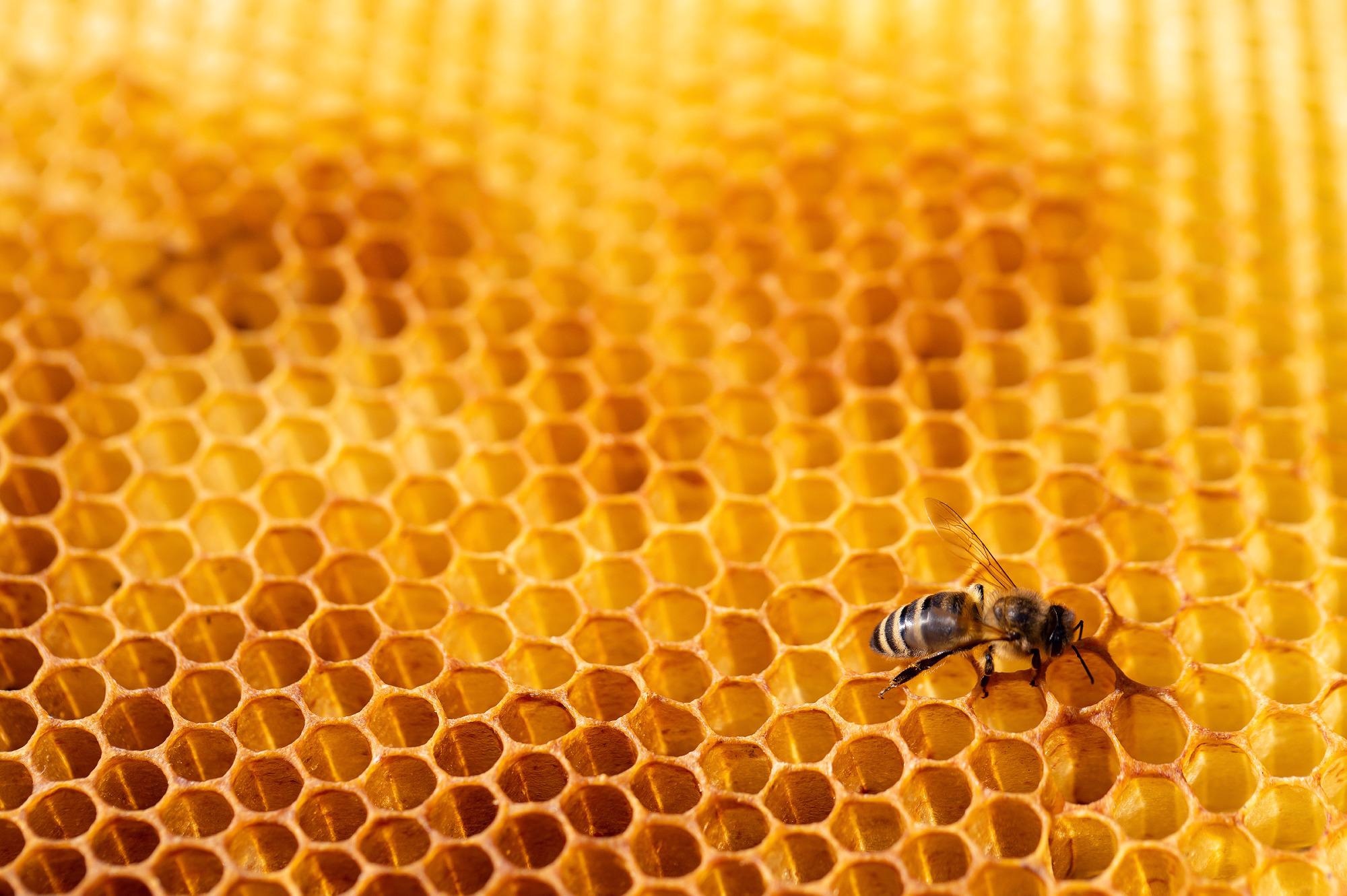 Electrochemical Sensor for the Ultrasensitive Detection of Nitrobenzene in Honey.
