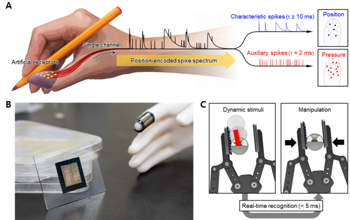 Researchers Develop Artificial Skin that Can Feel External Stimuli in Real Time.