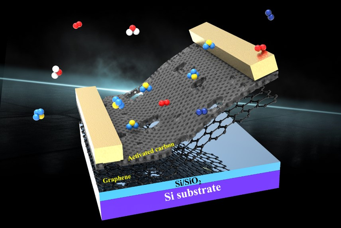 Scientists Develop a Nanoporous Activated-Carbon Functionalized Graphene Channel.