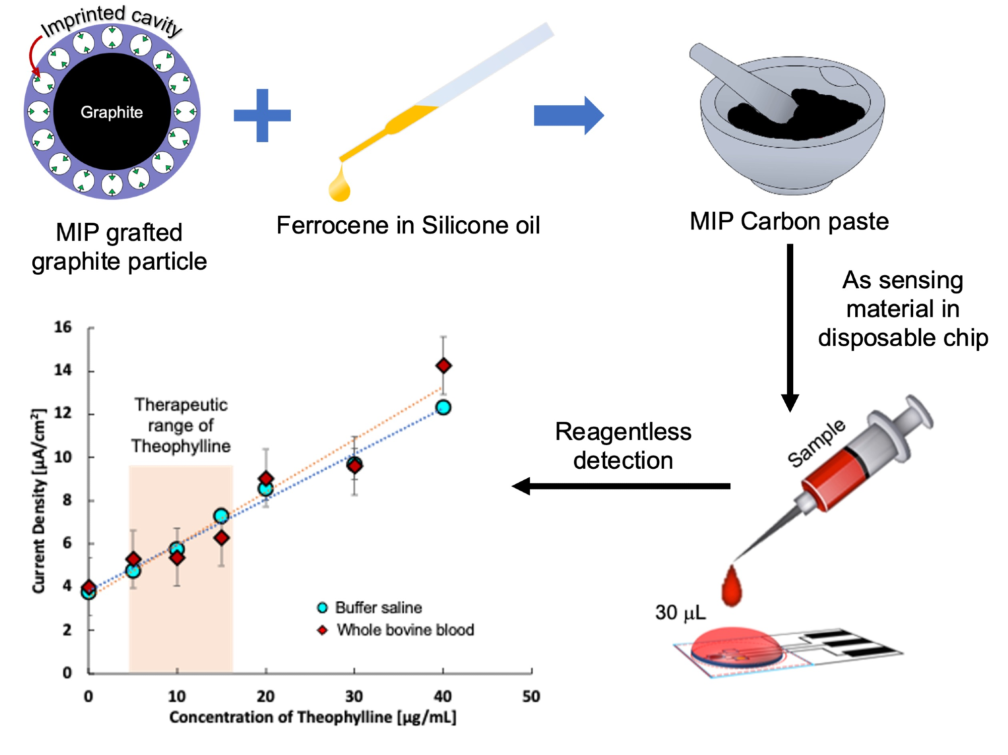 Researchers Develop an Electrochemical Sensor for Rapid Theophylline Detection.