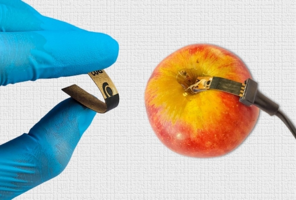 New Kraft Paper-Based Electrochemical Sensor to Detect Traces of Pesticides in Fruit and Vegetables