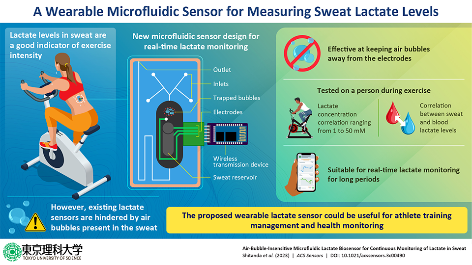 Wearable Sensor for Sweat Lactate Level Measurement During Exercise