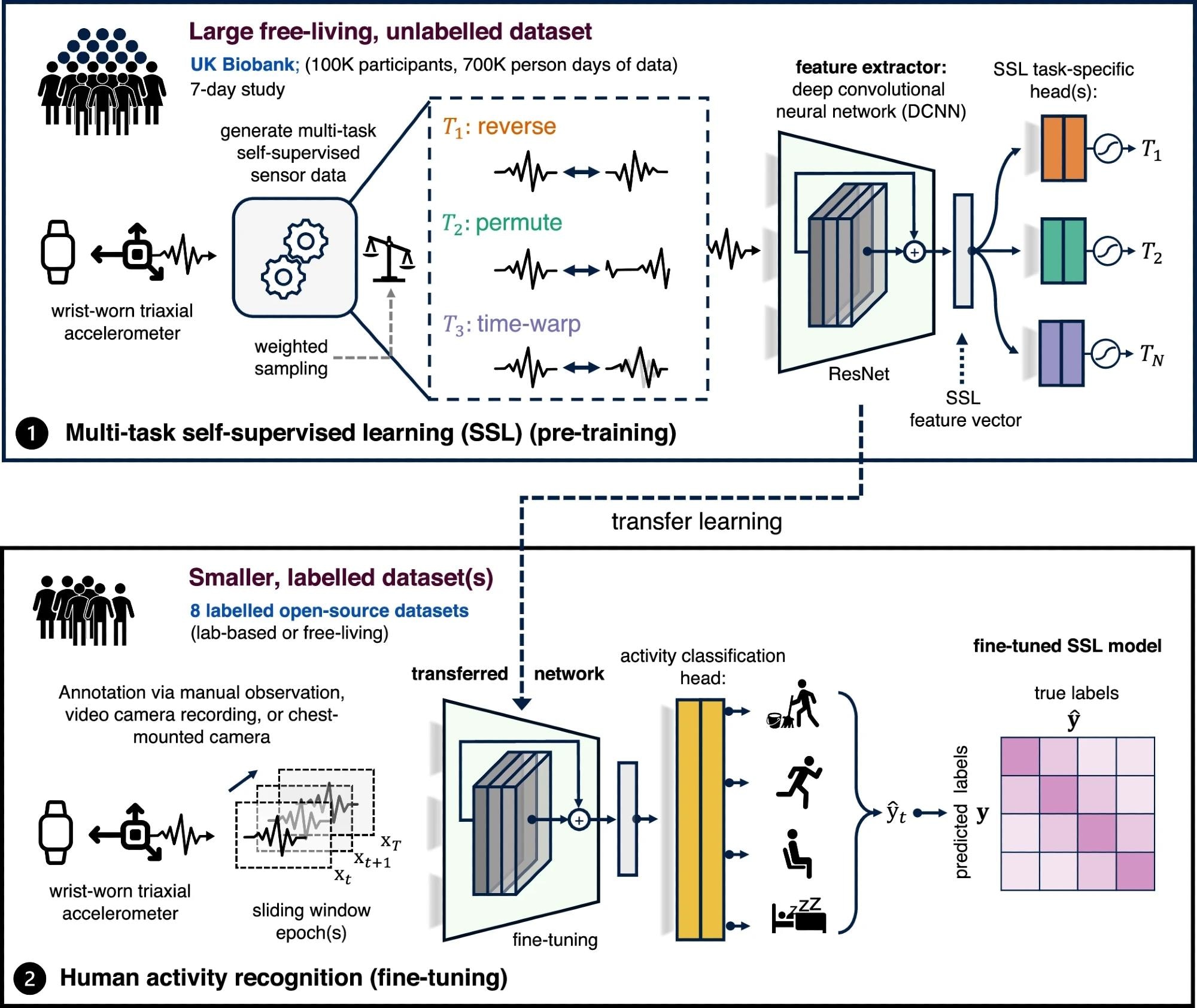 Advancing Human Activity Recognition through Self-Supervised Learning