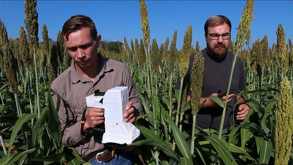 Hyperspectral Imaging Device Accurately Detects Changes in Plant Health