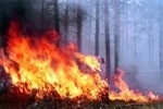 TPU's Alexander Khamukhin Patent New Method to Detect Forest Fires by Sound