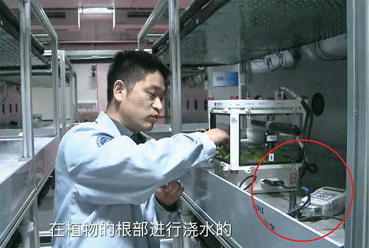 Chinese Astronauts Use the Delta-T Devices WET Sensor to Help Grow Lettuce in Space