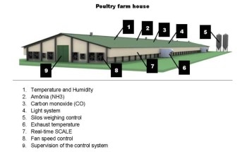 CapTemp Smart Farming Solution for Poultry House Monitoring and Control Increases Stock Production by 20%