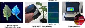 Dotz Conducts Successful In-Plant Tagging POC to Address Cannabis Tracing