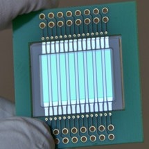New Optoplasmonic Sensor for Quickly Testing Milk and Other Liquids for Quality