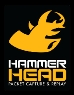 nPulse Technologies Demonstrates Latest Version of HammerHead Capture