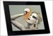 NIX Launches Hu-Motion Picture Frames with Programmable Controls