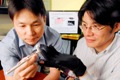 Glove with a Vibrating Fingertip Enhances Wearer’s Sense of Touch