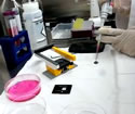 Caltech Engineers Create an e-Petri Dish