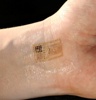 Electronic Skin Patches Enable Noninvasive Monitoring of Brain, Heart and Muscle Activity
