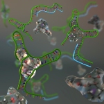 International Research Team Develops Cocaine Biosensor by Adapting Natural Mechanisms
