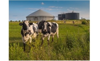 MSR-Electronic - Worldwide Methane Gas Monitoring in over 300 Biogas Plants