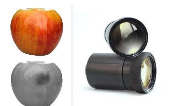 High Contrast SWIR Lenses for Agricultural Sorting