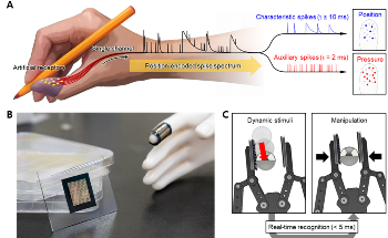 Researchers Develop Artificial Skin that Can Feel External Stimuli in Real-Time