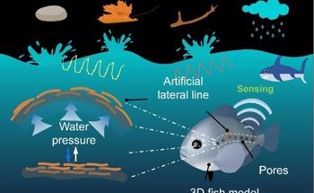 Researchers Create an Underwater Mechanical Sensor That Acts Like Lateral Line