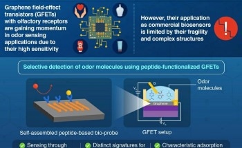 New Graphene-Based Olfactory Sensors to Detect Odor Molecules