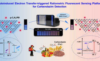 New Sensing System for Ratiometric Fluorescence Quantitation of Carbendazim