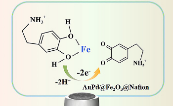 Detecting Dopamine by Using AuPd@Fe2O3 Nanoparticles as Catalyst
