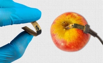 New Kraft Paper-Based Electrochemical Sensor to Detect Traces of Pesticides in Fruit and Vegetables