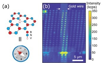 The Successful Placement of Nanoscale Quantum Sensors on Desired Targets