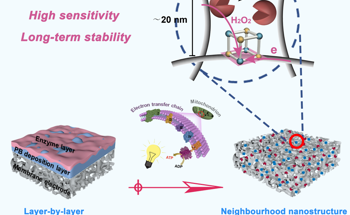 New 3D Mesoporous Biosensing-Membrane for Glucose Detection