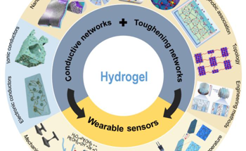Analyzing the Development of Hydrogel Sensors