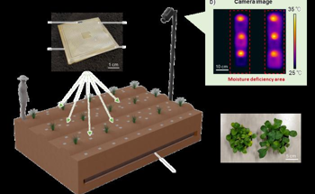 Biodegradable Sensors for Precision and Sustainable Agriculture