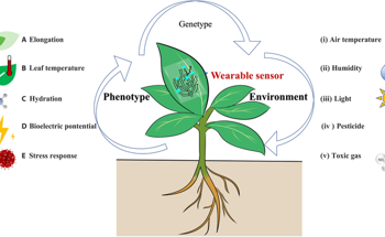 Wearable Sensors as Key Tools in Advancing Crop Management