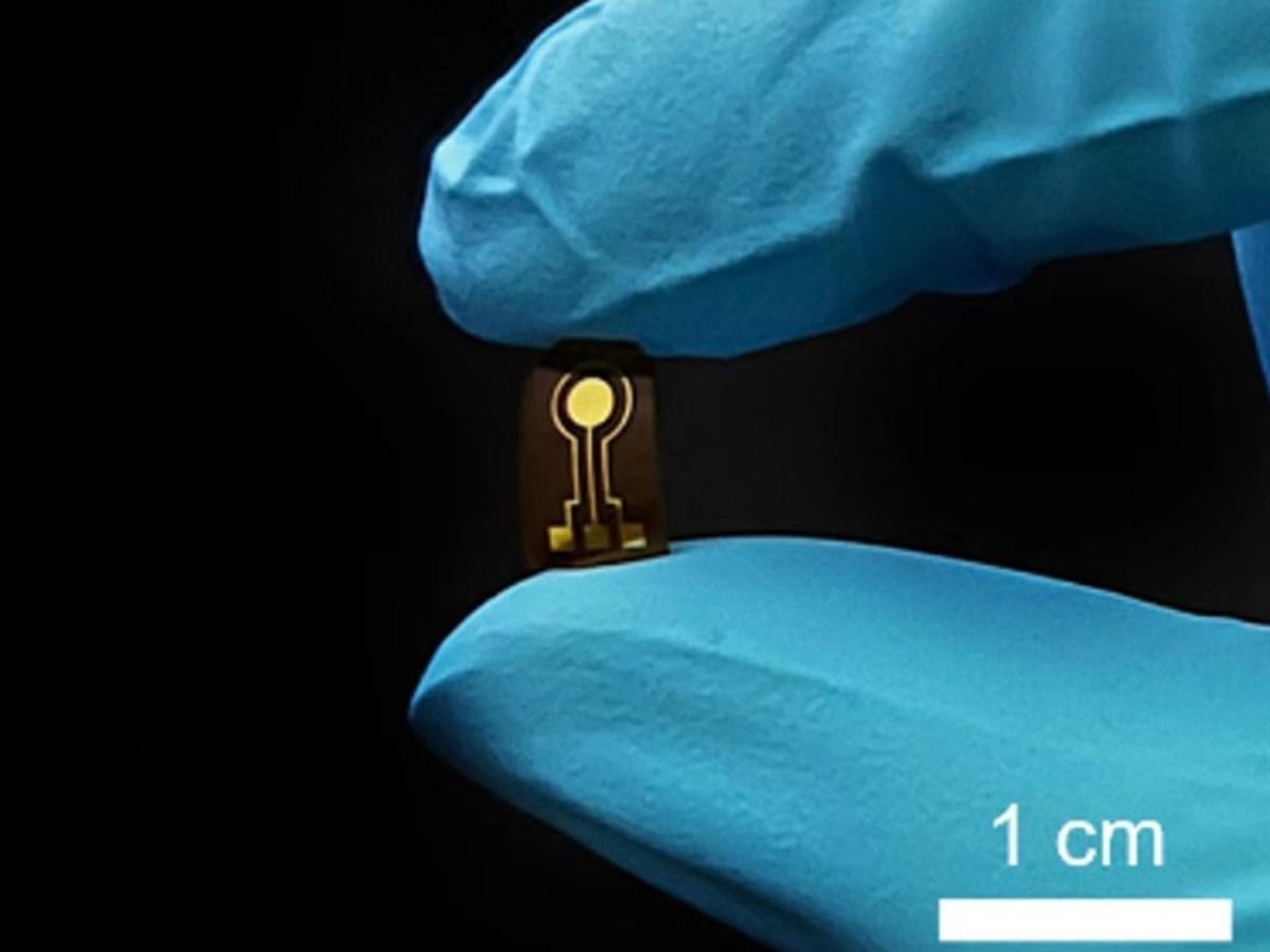 Implantable Sensing Device for Wireless Nitric Oxide Tracking - Vimarsana News